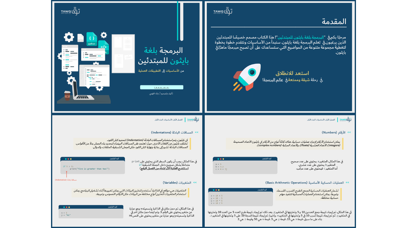 عينة مجانية: البرمجة بلغة بايثون للمبتدئين